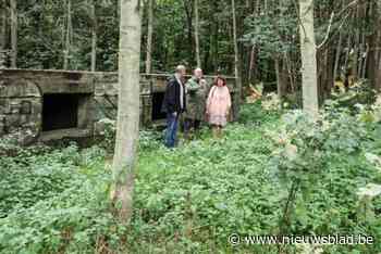 Werken aan Groenzone IJsvogelstraat zijn gestart: verborgen parel tussen ringpark Groenendaal en Oude Landen