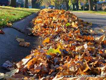 Fall leaf collection begins Monday in Perrysburg