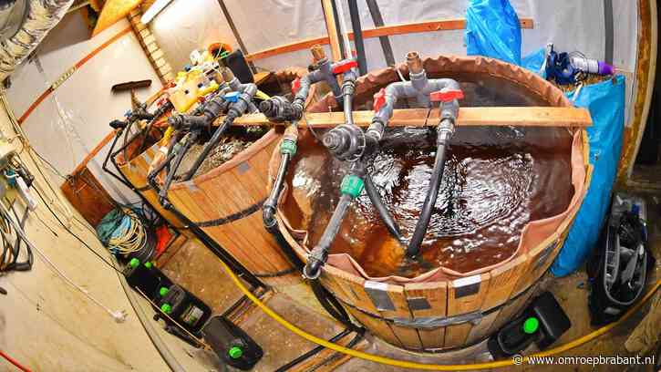 Hennepplantage bij natuursteenbedrijf: opgepakte man is broer van eigenaar