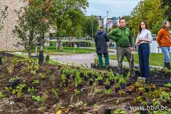 Vijf Hasseltse parken vernieuwd of uitgebreid