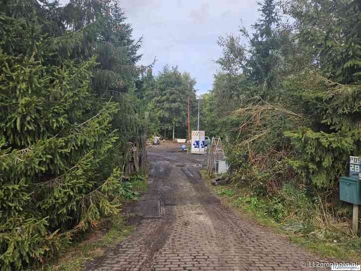 Betonbos is er niet meer: alternatieve woonvorm aan Eemskanaal na twintig jaar ontruimd