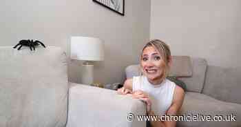 Newcastle mum with fear of spiders booked Uber and asked driver to get rid of it