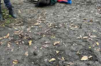 FW-GE: Feuerwehr Gelsenkirchen bei der Pferderettung