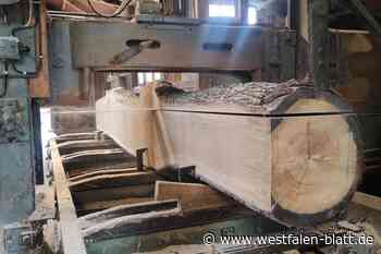 Ein Fest für Holz, Harken und Handwerk