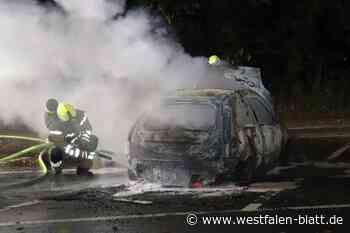 Auto auf Lippesee-Parkplatz in Brand gesetzt
