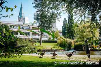 Wichtiger Meilenstein: Paderborn für Kulturerbe-Siegel nominiert