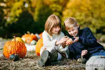 Familienfreundliche Herbstabenteuer im Paderborner Land