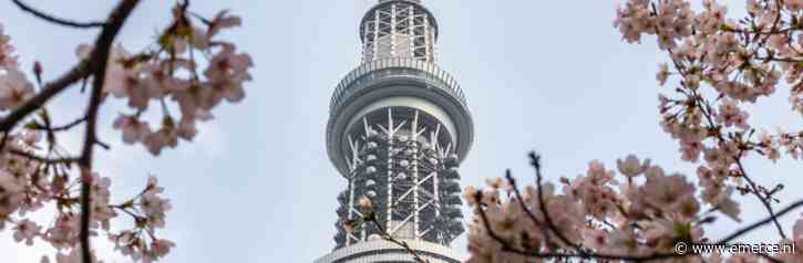 Onderlinge afhankelijkheid plus verschuivende scopes en deadlines: hoe je de valkuilen in een replatformingtraject vermijdt