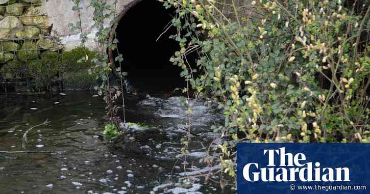 English water system singled out for criticism by UN special rapporteur
