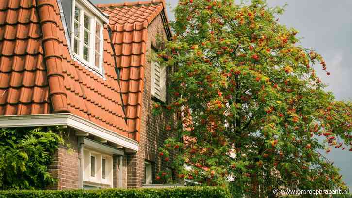 Zo verdien je geld met de verhuur van je huis of tuin