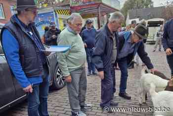 Geitenkeuring en paalklimmen kleuren kermis
