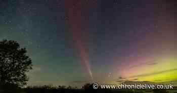 Northern Lights hunters spot rare phenomenon known as Steve in sky over the North East