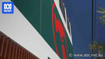 Too big, too powerful? Why ‘big box’ retail chains like Bunnings and Petstock are being scrutinised