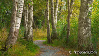 How to Edit Autumn Landscapes for Richer Colors in Lightroom