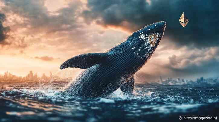 Ethereum whales blijven verkopen: ACT al zes maanden negatief