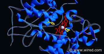 How the AI Nobel Prizes Could Change the Focus of Research