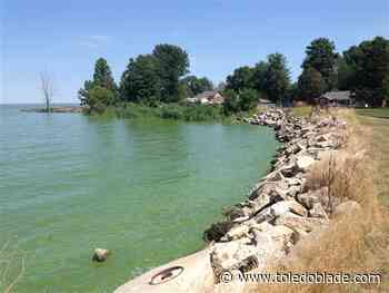 Landmark Lake Erie case could be greatly widened by ag industry's involvement