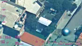 Pentagon's secret UFO data retrieval program 'Immaculate Constellation' revealed for first time in new whistleblower report