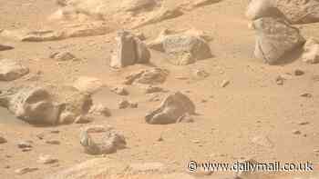NASA spots rock on Mars with a human-like face - can YOU see it?