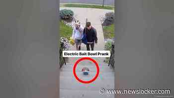 Bait Candy Bowl Prank #Pranks #JoeySalads #ViralVideos