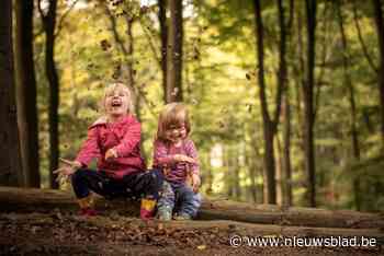 Loop door de bomen of ga volledig uit de bol op een winters carnavalfestival: dit zijn onze uittips