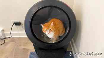 This self-cleaning litter box changed my life, and it's still discounted for October Prime Day
