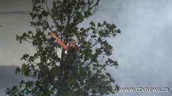 As Hurricane Milton makes landfall, more than 1.6 million customers are left without power in Florida