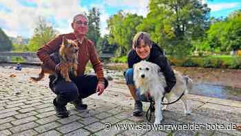 Therapiehunde in Nagold: Wenn Hunde zu Brückenbauern werden