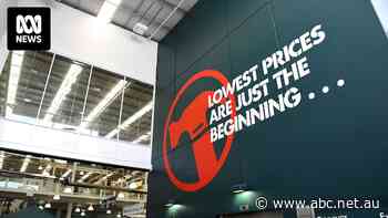 'Too big, too powerful?' Main Bunnings competitor lashes out about the hardware chain's dominance