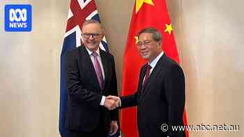 Chinese trade restrictions on Australian lobsters to be lifted before Chinese New Year