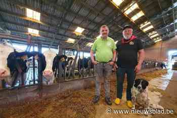 Politieke nieuwkomer trekt provinciale lijst Boer Burger Belangen in district Maaseik