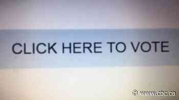 Online voting could be tested in Hamilton during Ward 4 trustee byelection