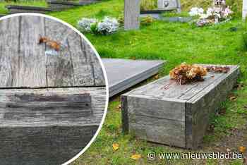 Zijn souvenirjagers aan het werk? Naamplaatje op graf van Luc De Vos opnieuw verdwenen