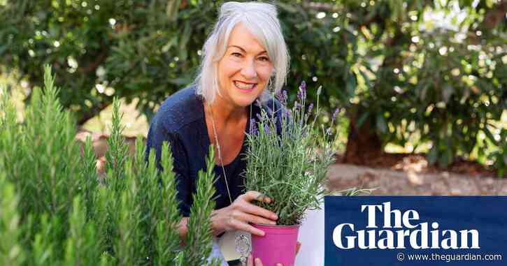 ME left me bedbound for nearly five years. A potted plant helped me rebuild my life