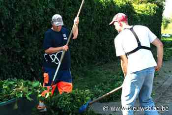 Maatwerkbedrijf WAAK trekt werkbegeleiders Groendienst aan via TikTok