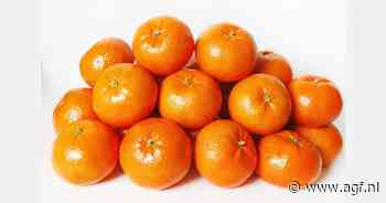 EU verwerpt verzoek om registratie van Nadorcott-mandarijn te annuleren