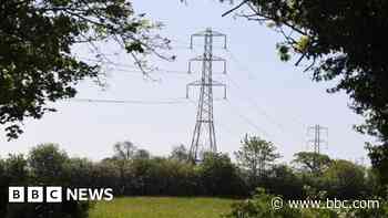 City park works could take five years to start