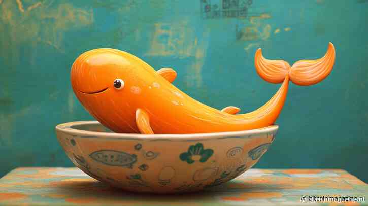 Binance coin koers verwachting: whales worden bullish, gaat BNB stijgen naar $650?