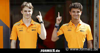 Günther Steiner: Ich hätte schon viel früher auf Lando Norris gesetzt