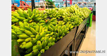 "Inkopers moeten back-ups vinden voor hun cruciale producten"