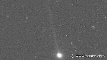 Phew! No 'doomsday' asteroids hide in famous broken comet's debris stream