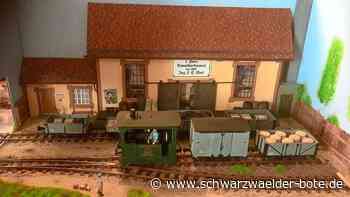 Modellbahnschau in Jettingen: Eine von ihnen passt in eine Walnuss