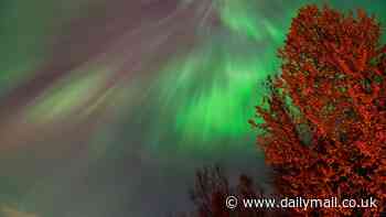 Northern Lights will appear as far south as LONDON tonight as a 'severe' geomagnetic storm slams into Earth - so, will the stunning display be visible from your hometown?