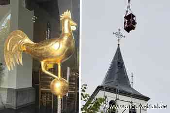 Haan van Sint-Martens-Latem na zeven maanden terug op zijn nest: “Als restauratie klaar is, zal kerk er terug pico bello uitzien”