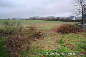 Berkenstein II in Vlotho: Verkehrsführung ist umstritten
