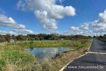 Schepen Quaghebeur vraagt waterbuffering te herzien: “Regels zijn absurd en onwerkbaar”