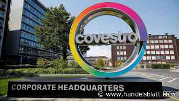 Adnoc: Angebot annehmen, oder warten? Alle Antworten zur möglichen Covestro-Übernahme