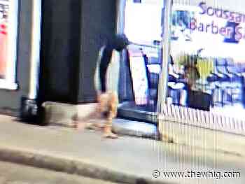 Kingston Police charge man of breaking into apartment, performing sexual acts, assault