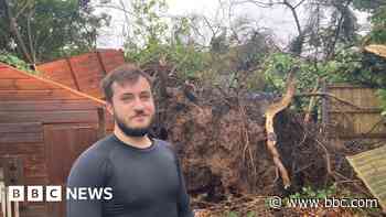 'Mini-tornado' knocks down trees and fences
