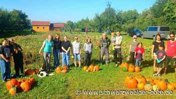 Kürbisernte in Haiterbach: Jugendgruppe baut dieses Jahr weiteres Gemüse an